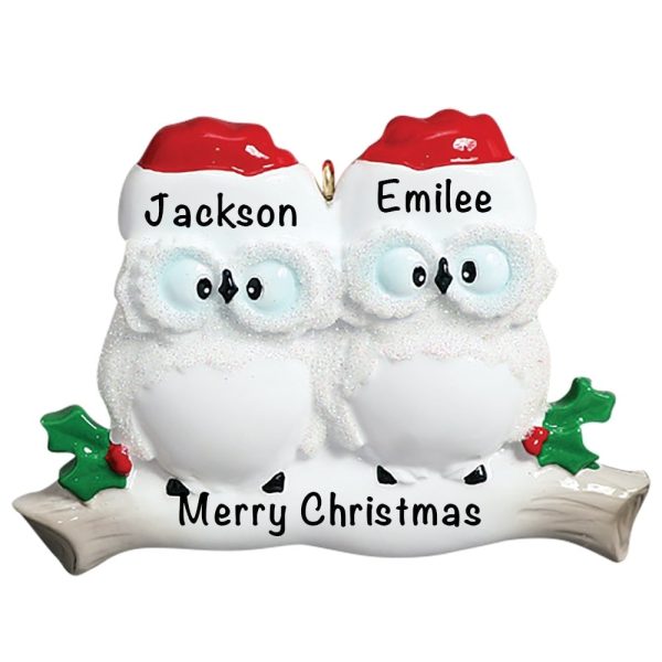 Owl Couple Christmas Ornament Hot on Sale